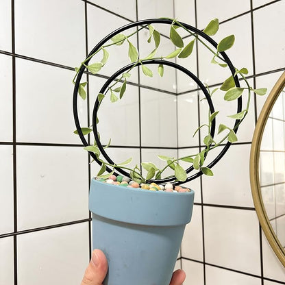 Hoya Trellis Set of 3 Round Climbing Plant Supports - Small, Medium, Large - Sturdy Metal for Indoor & Outdoor Potted Plants - Easy Tool-Free Assembly - Great Choice for Plant Enthusiasts