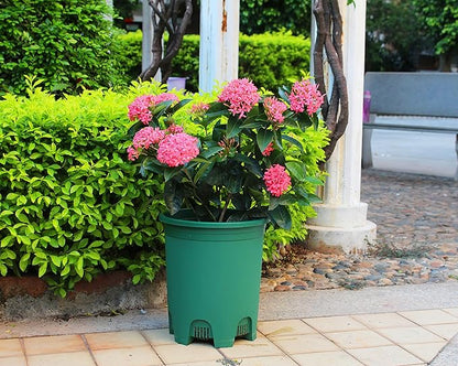 5 Gallon 6-Pack Green Large Plant Pots Nursery Tree Pot Plastic Planters for Outdoor Indoor Plants Gardening Flower Pots with Drainage Holes