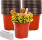 Plant Nursery Pot/Pots 100 Pcs 6" Plastic Small Plants Pots Flower Pots Seed Starting Pots for Plants Indoor Outdoor Seeding pots (with 100 Plant Labels)