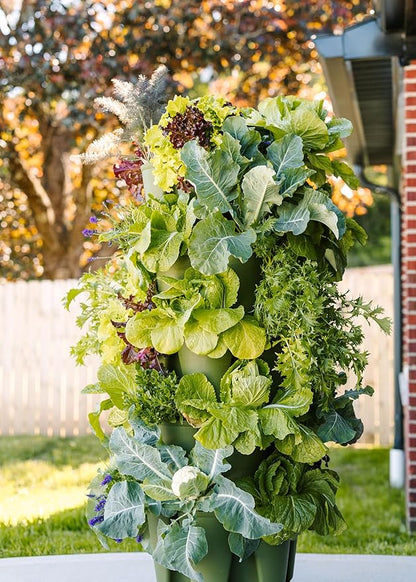 Greenstalk Patented Large 5 Tier Vertical Garden Planter with Patented Internal Watering System Great for Growing a Variety of Strawberries, Vegetables, Herbs, & Flowers (Evergreen)
