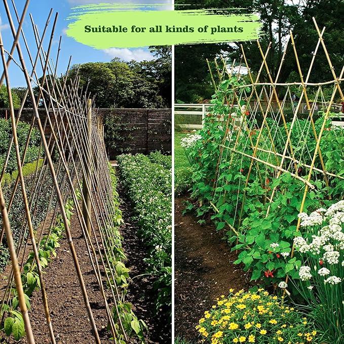 30pcs 3/10" D Thicker Heavy Duty Bamboo Stakes, 2FT Plant Stakes, Natural Garden Stakes for Tomato, Bean, Flowers,Trees Potted and Climbing Plant Support