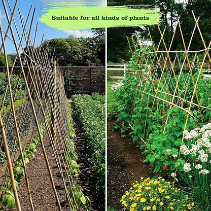 30pcs 3/10" D Thicker Heavy Duty Bamboo Stakes, 2FT Plant Stakes, Natural Garden Stakes for Tomato, Bean, Flowers,Trees Potted and Climbing Plant Support