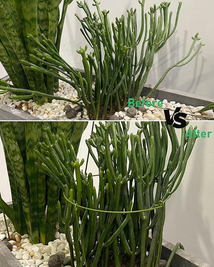 5 Pack Plant Support Stakes, Adjustable Plant Ring Cages with Green Rubber Wrapping, Ideal for Orchids, Indoor and Outdoor Potted Plants, 6" Wide x 11" High
