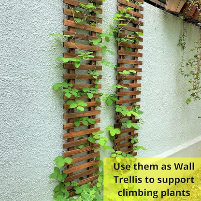ShopLaLa Wall Planter - 2 Pack, Wooden Hanging Large Planters for Indoor Outdoor Plants, Live Vertical Garden, Plant Wall Mount Flower Pot Holder Hanger Stand Green Herb Wall Decor 47.2" (120cm)