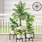 5 Pack Plant Stand Metal Flower Pot Stand Holders Indoor Tall Plant Rack Plant Round Black Plant Shelf For Living Room, Garden, Balcony