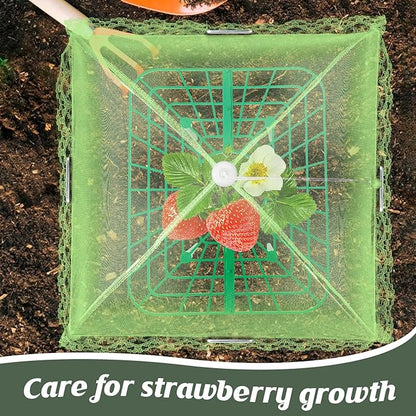 4 Sets Strawberry Plant Support with Mesh Plant Cover,Strawberry Growing Racks Sets with Iron Plant Nails and Storage Bag for Garden Strawberry Vegetables(Green Net - Square)