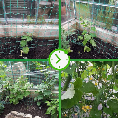 Trellis Netting for Climbing Plants - Heavy Duty Garden Trellis Netting for Cucumber, Vine, Fruits & Vegetables Tomato Plants Trellis Net, Climbing Vining Plants (1-Pack 16.4' x 6.6'Ft)
